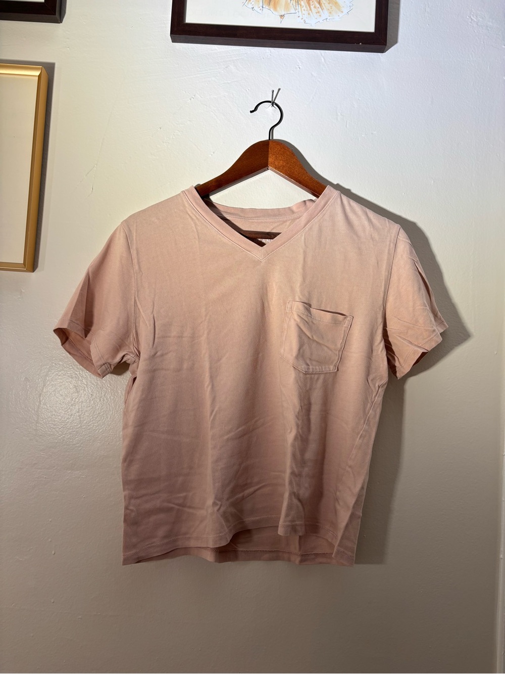 Everlane The Boxy Crop Tee in Pink Small
